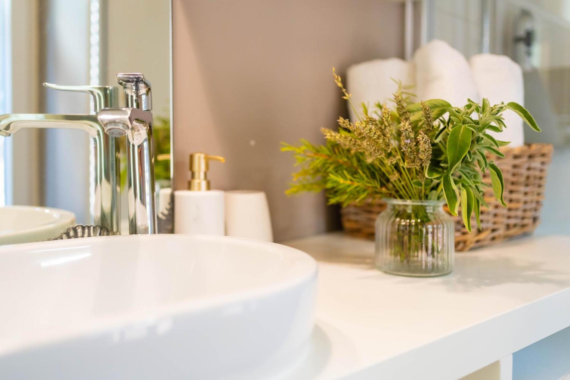 Apartment Mediterraneo 罗维尼 外观 照片